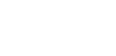 white modi toys logo
